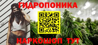 прущие грибы Берёзовский