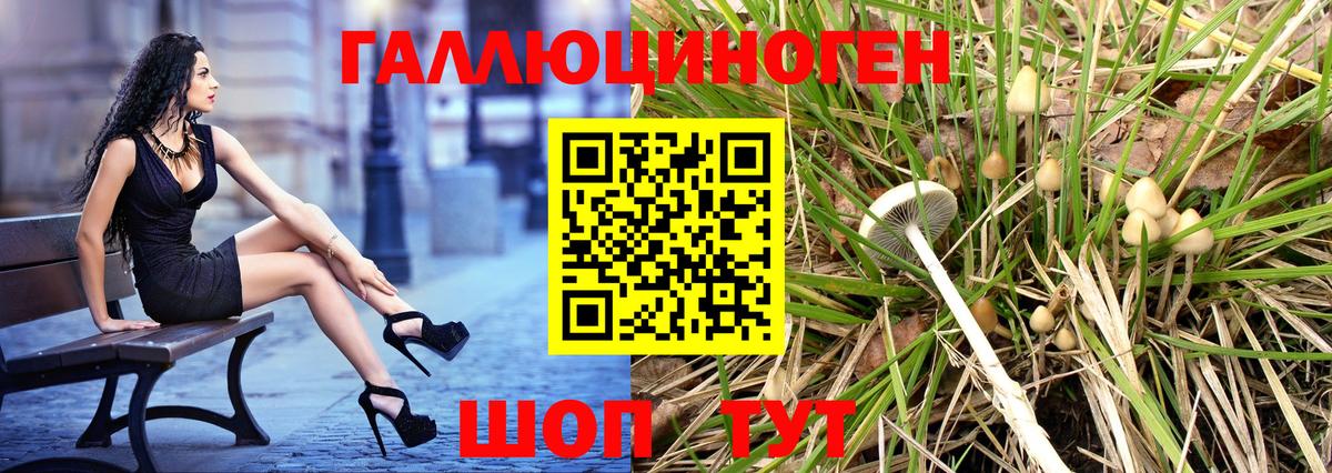 купить  сайты  Вход с VPN  Каспийск  Галлюциногенные грибы прущие грибы 