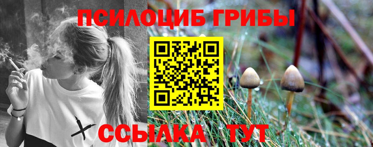 Псилоцибиновые грибы мицелий Каспийск