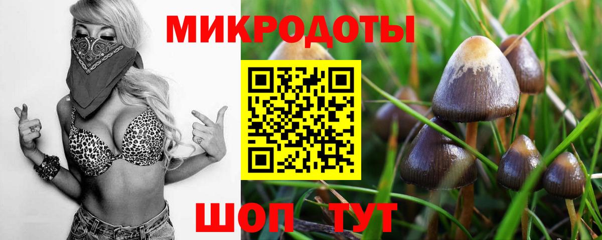 Конопля  ТГК  Каспийск  Меф кристаллы  ГАШИШ  Вход с VPN 